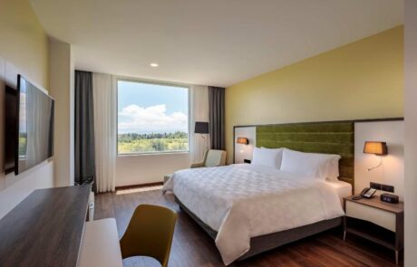 Hotel Holiday Inn Airport double bed