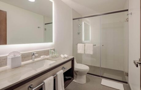 Hotel Holiday Inn Bathroom