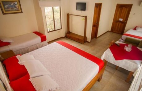 hotel san vicente room2 santa cruz