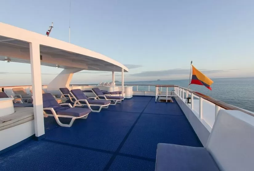 Millenium Catamaran Sundeck
