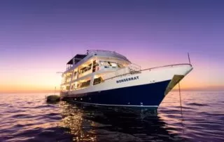 Monserrat-Yacht-night monserrat yacht night