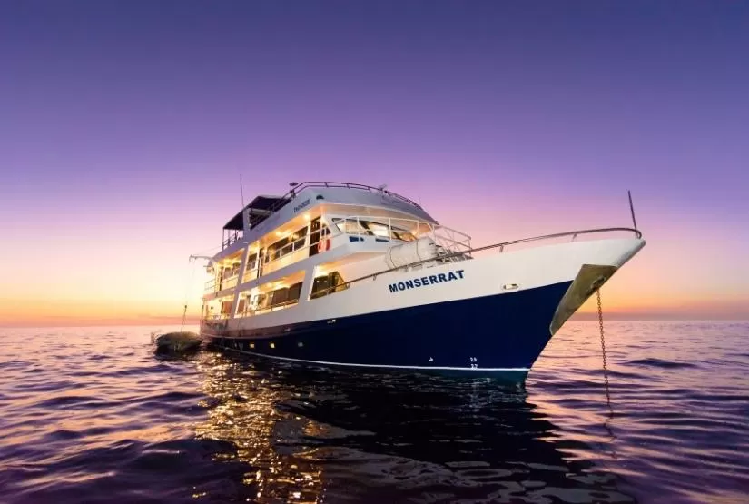 monserrat yacht night