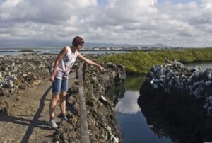 Ecuador Tours - Tintoreras