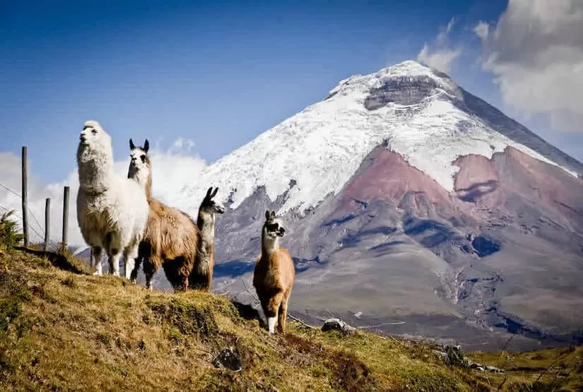 Full Ecuador Cotopaxi-National Park