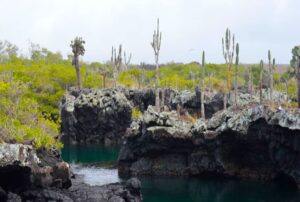 galapagos vacation packages