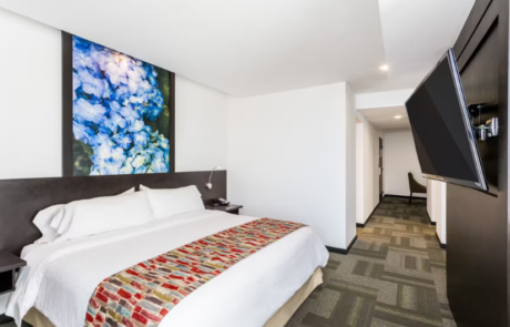 Wyndham hotel suite room