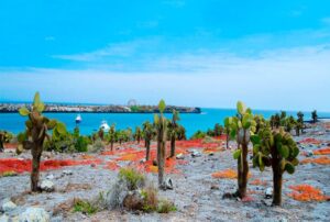 ecuador galapagos vacation