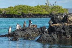 galapagos package vacations