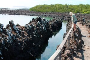 galapagos vacation ecuador