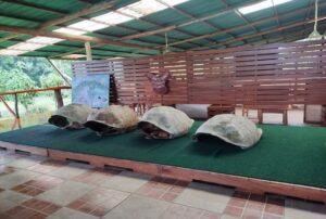 galapagos vacation packages