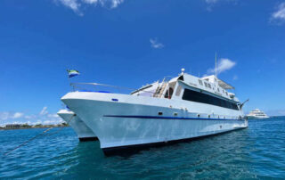 Anali Catamaran GPS (2)