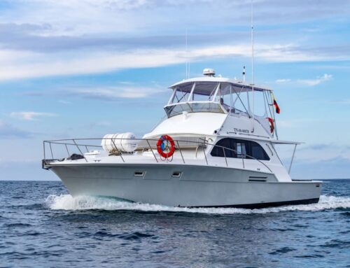 Galaxy Skape Yacht Daily tour