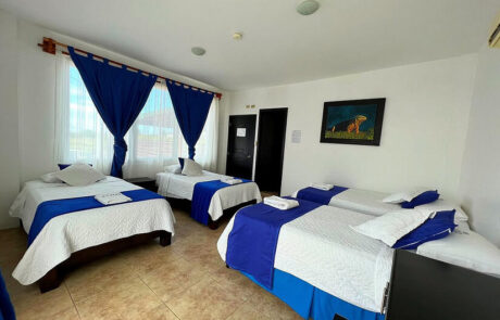 Hotel Cally Isabela Galapagos room