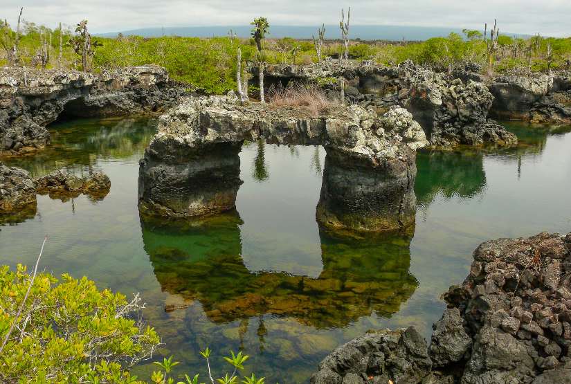 vacation packages galapagos islands isabela