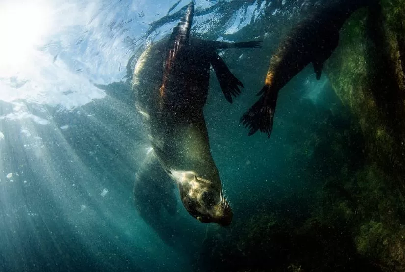galapagos family tours