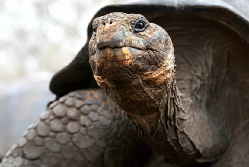 5 days in galapagos