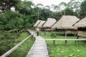 Nicky Amazon Lodge