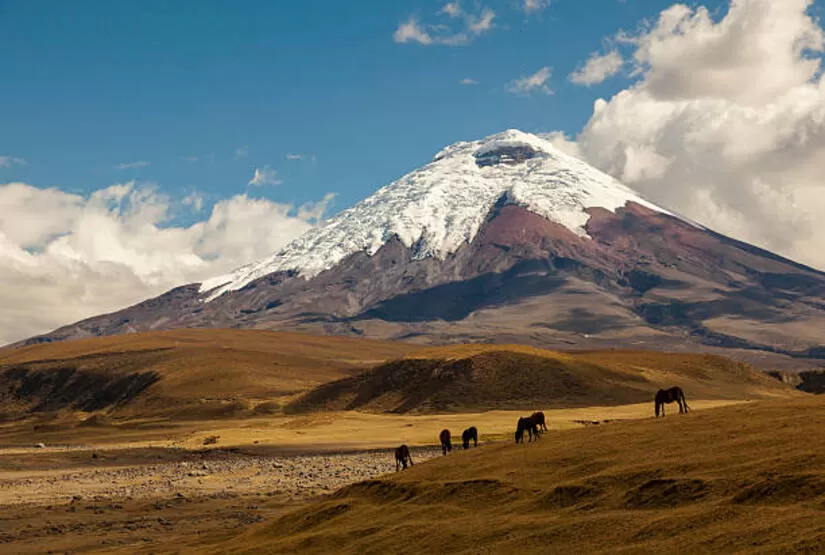 cotopaxi tour