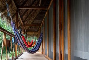 nicky amazon lodge home