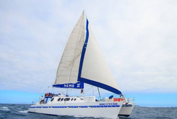 Nemo II Catamaran last minute