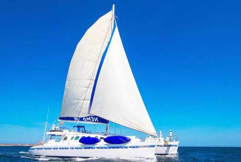 Nemo III Catamaran last minute