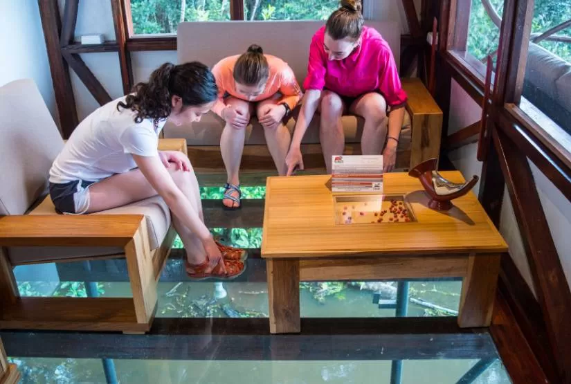 Yasuni Napo Lodge