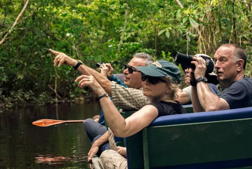 Yasuni National Park Wildlife