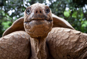 galapagos 4 days tour