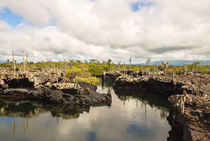 galapagos 5 days tour