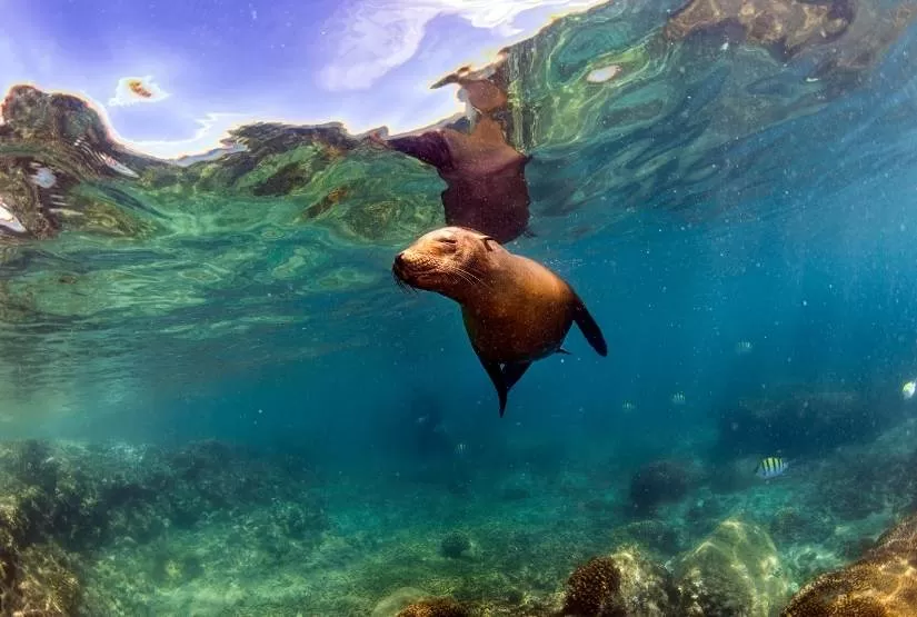 galapagos 7 days tour