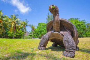 galapagos 7 days tour