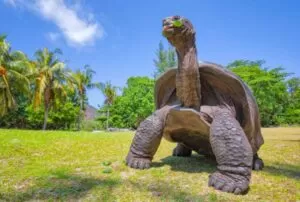 galapagos 7 days tour