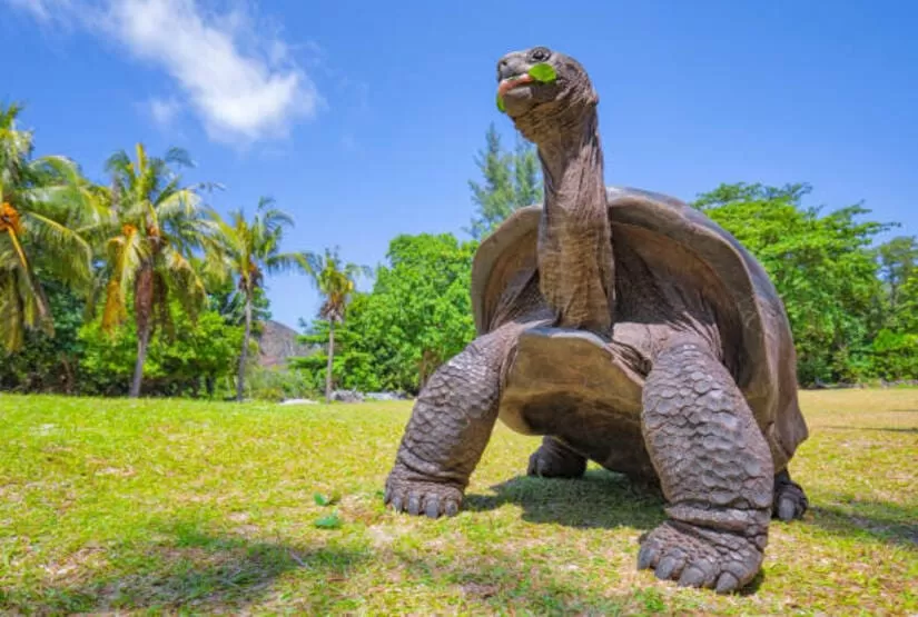 galapagos 7 days tour
