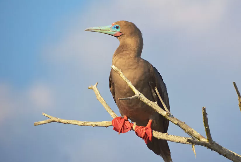 galapagos best 6 days tour