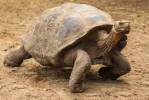 galapagos island 4 days tour