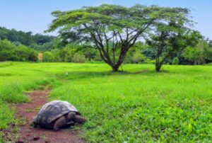 galapagos island 4 days tour