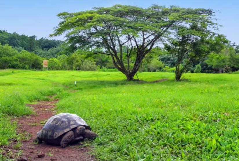 galapagos-island-4-days-tour galapagos island 4 days tour