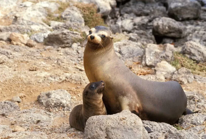 galapagos island 5 days itinerary