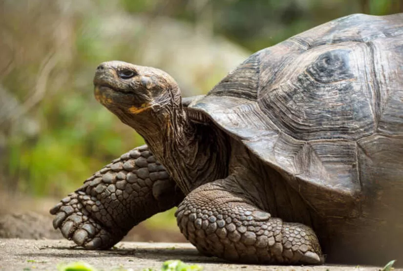 galapagos island 5 days tour