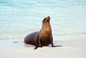 galapagos island 6 days tour