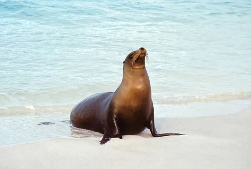 galapagos-island-6-days-tour galapagos island 6 days tour