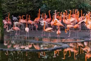 galapagos island 8 days itinerary