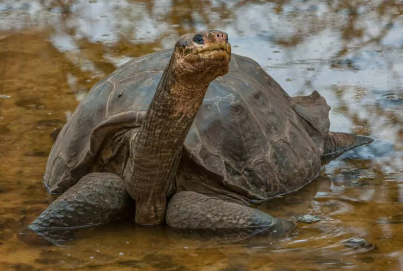 galapagos island best tour