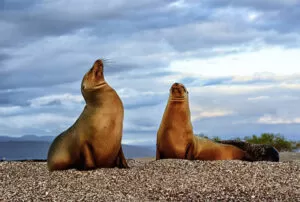 galapagos island best tour