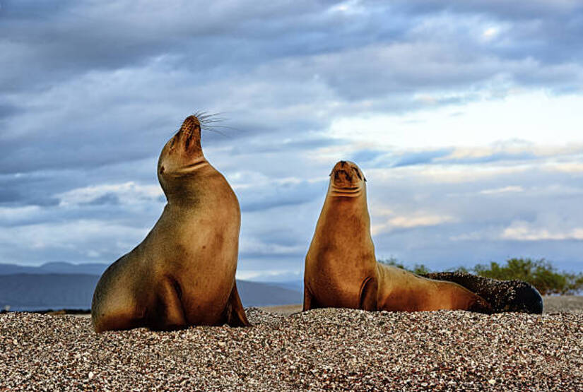 galapagos island best tour