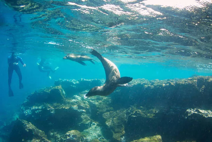 galapagos-island-best-tour galapagos island best tour