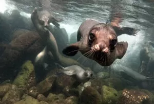 galapagos island best tour