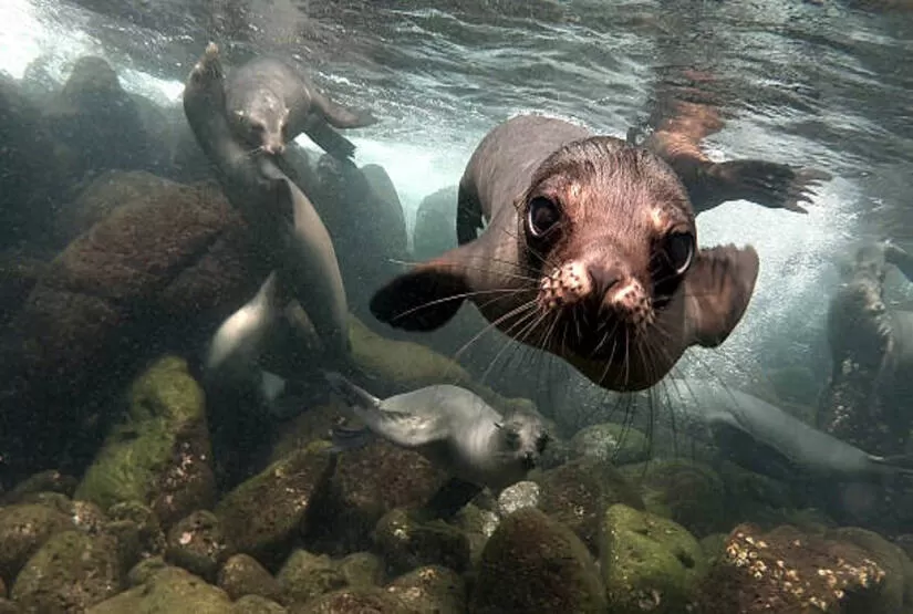 galapagos island best tour