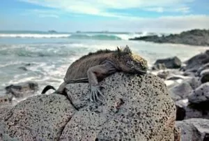 galapagos island hopping tour