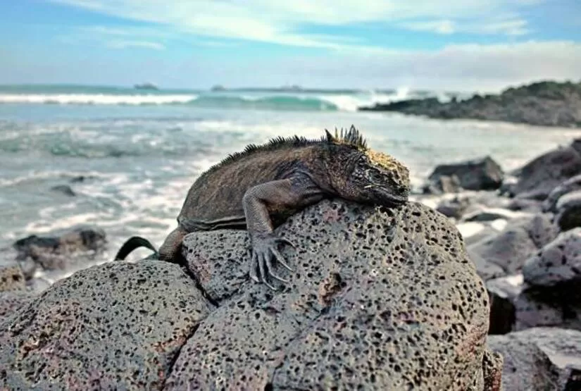 galapagos island hopping tour